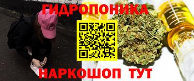 прущие крисы Будённовск