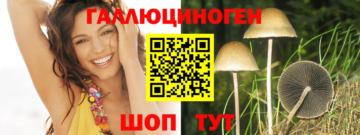 Галлюциногенные грибы GOLDEN TEACHER  Вход с VPN  Галлюциногенные грибы ЛСД  Можайск 