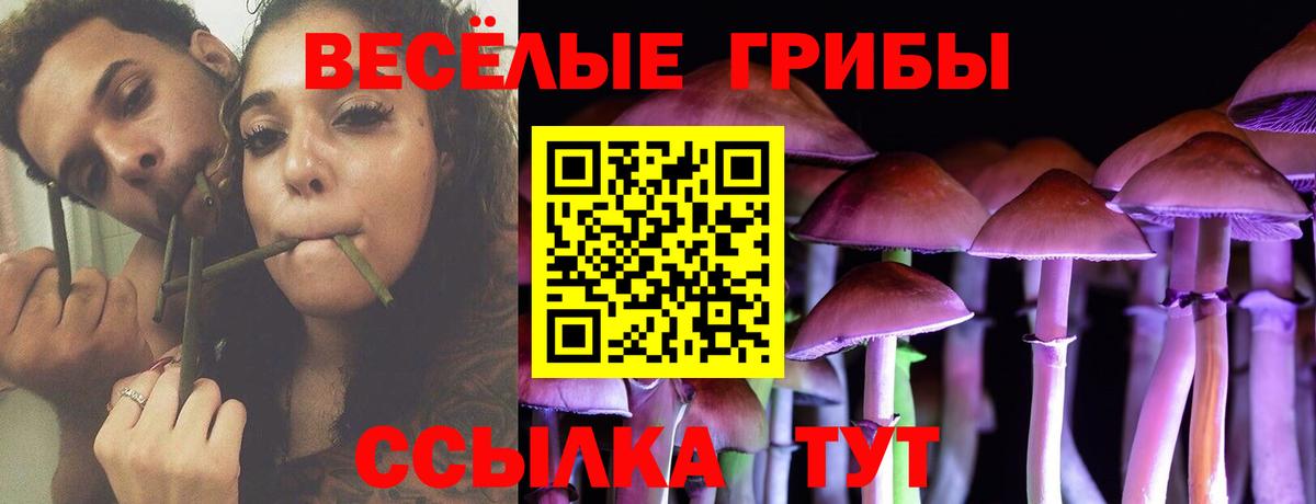 Псилоцибиновые грибы Psilocybe Можайск